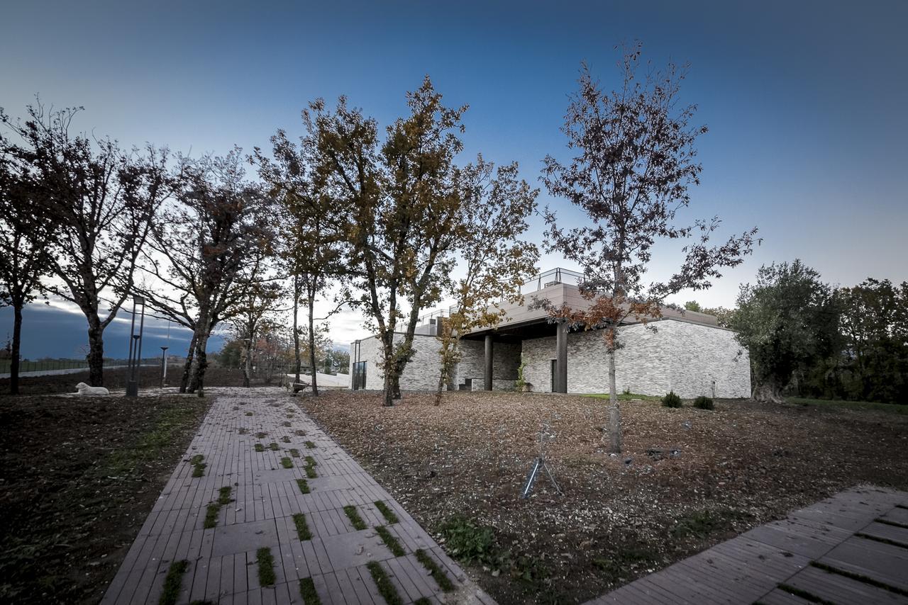 Villa Palazzo Tronconi Arce Exterior foto