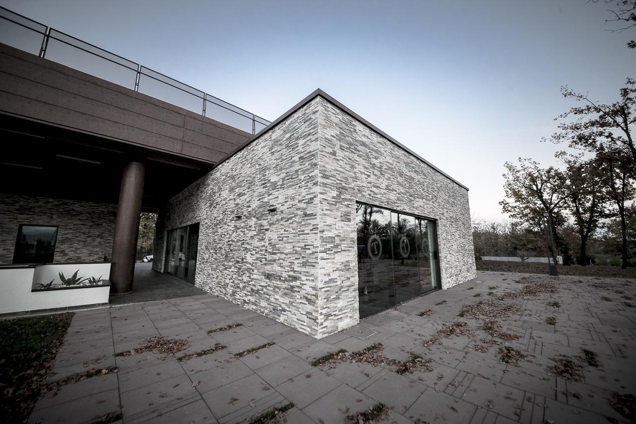 Villa Palazzo Tronconi Arce Exterior foto